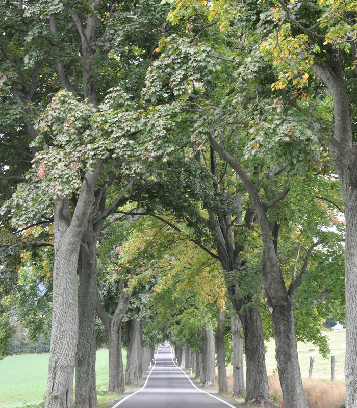 DSC_0041.JPG